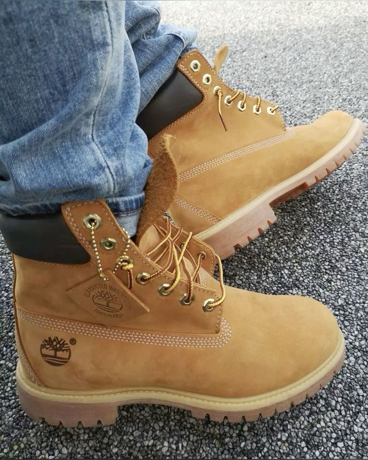 TIMBERLAND